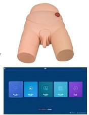 高級男性導(dǎo)尿模型(軟件版) 高級男性導(dǎo)尿模型(軟件版)