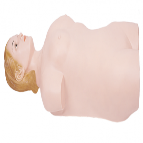 數(shù)字遙控式腹部觸診、血壓測量模擬人（單機版）