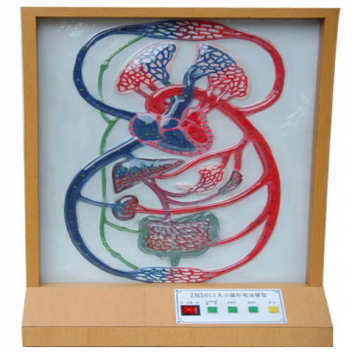 大、小循環(huán)電動模型